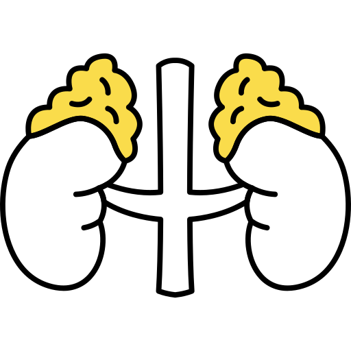 Adrenal